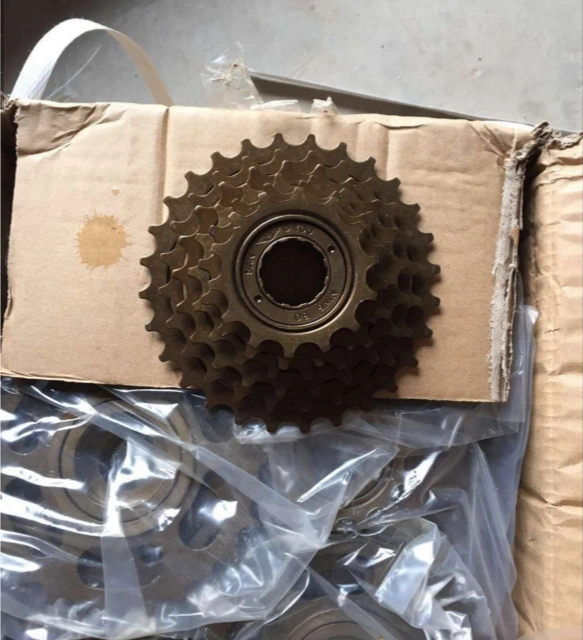 Multi-Speed Free Wheel for Mountain Bike