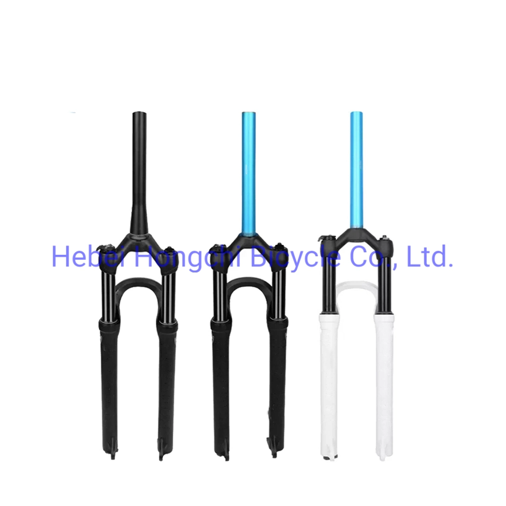 High Quality Bicycle Store Bike Private Front Fork