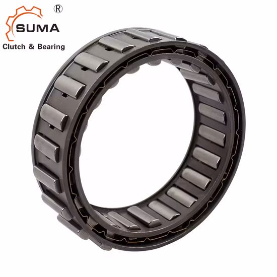 Rueda libre de indexación unidireccional tipo Sprag (BWC-13239B)