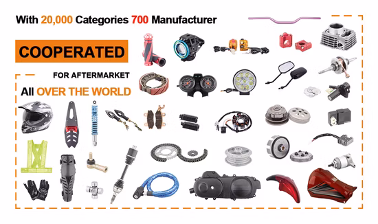 Guardabarros de plástico barato y de mejor calidad para bicicleta Nuevo producto